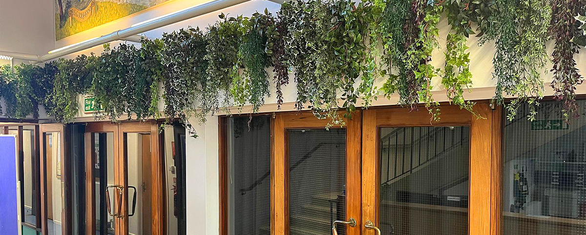 Big Plant Company office plants and artificial displays