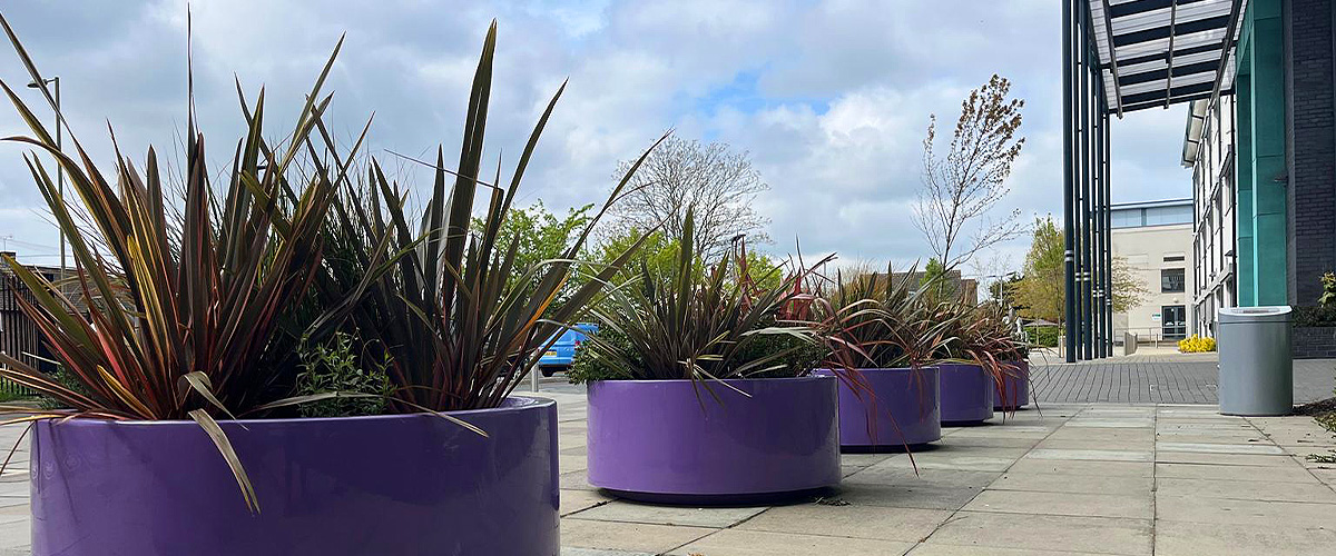 Big Plant Company office plants and artificial displays